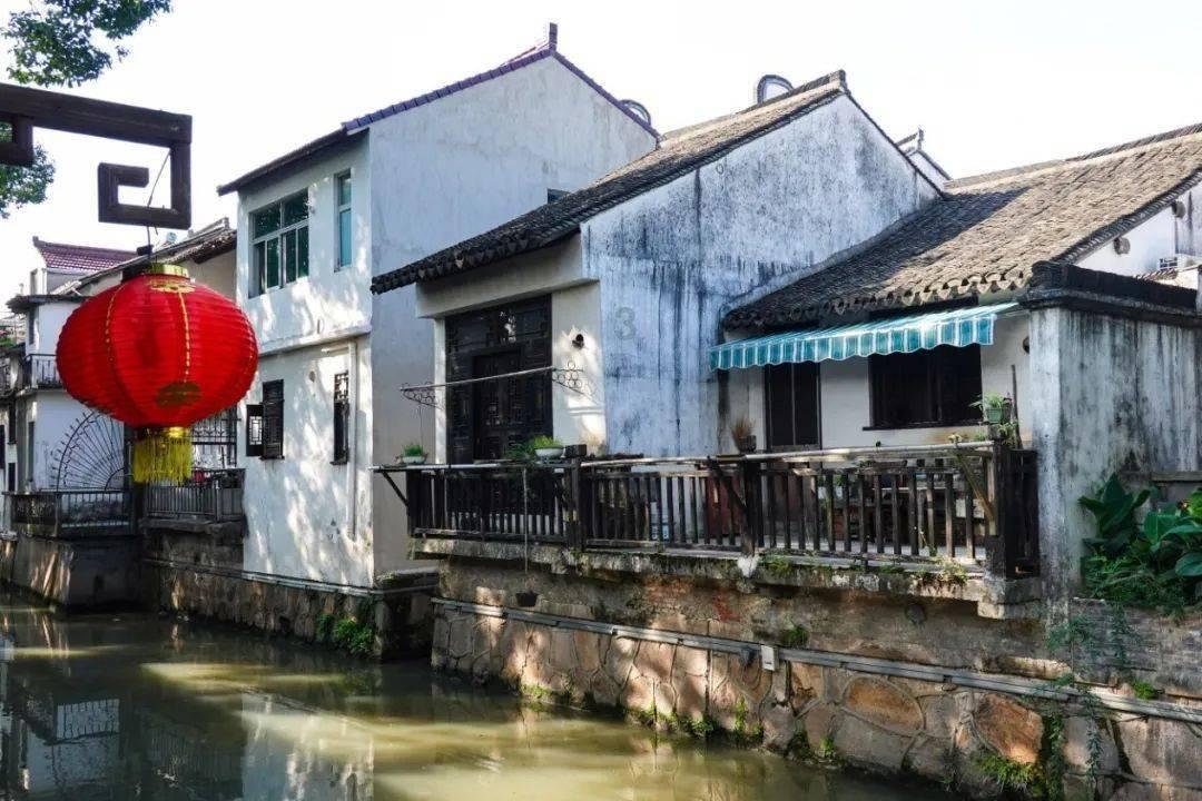 2022金鹰节就要开始了，杨紫这次能成为金鹰女神吗？
